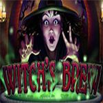 Witch`s Brew